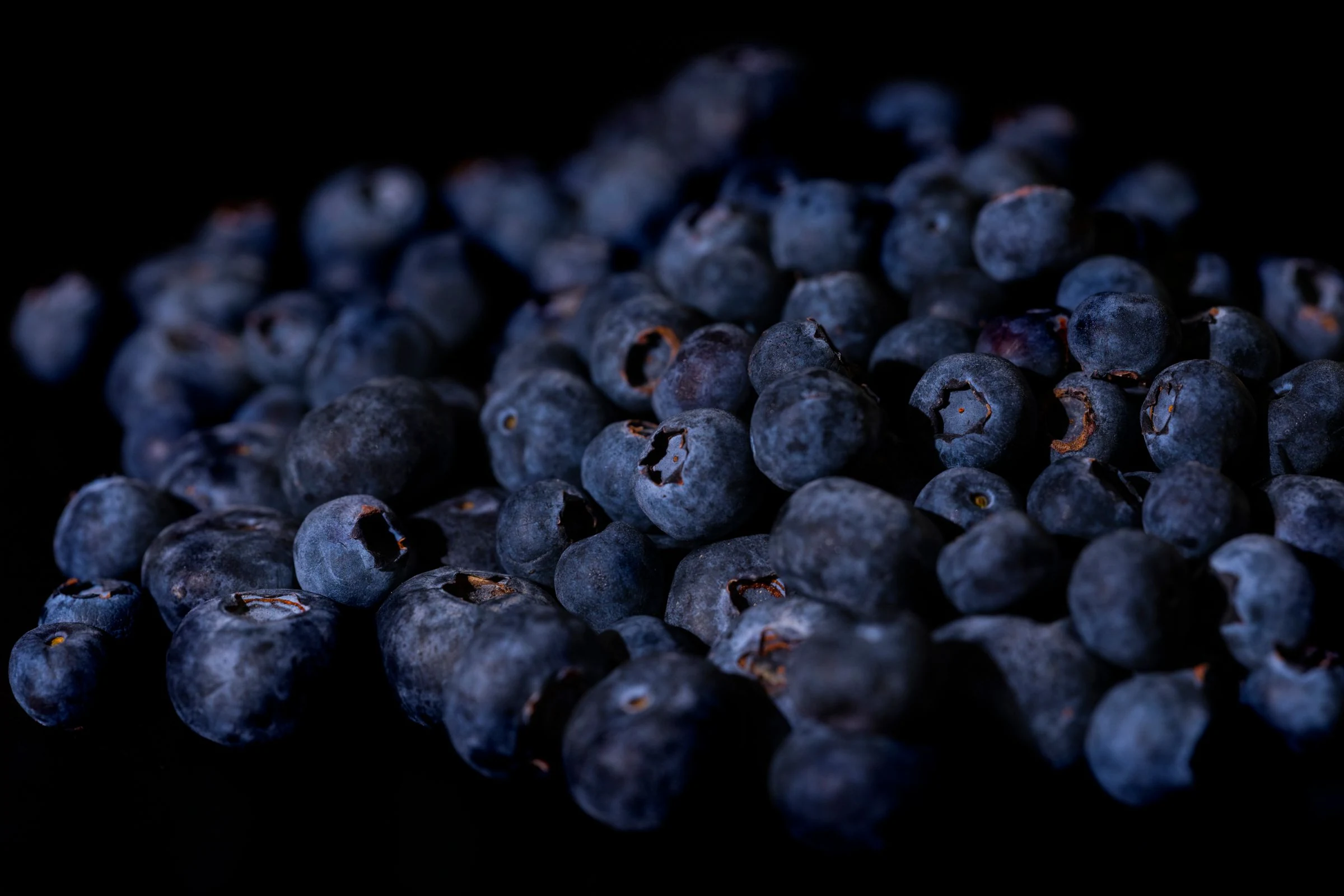 A close-up of dark blueberries with their natural matte bloom.